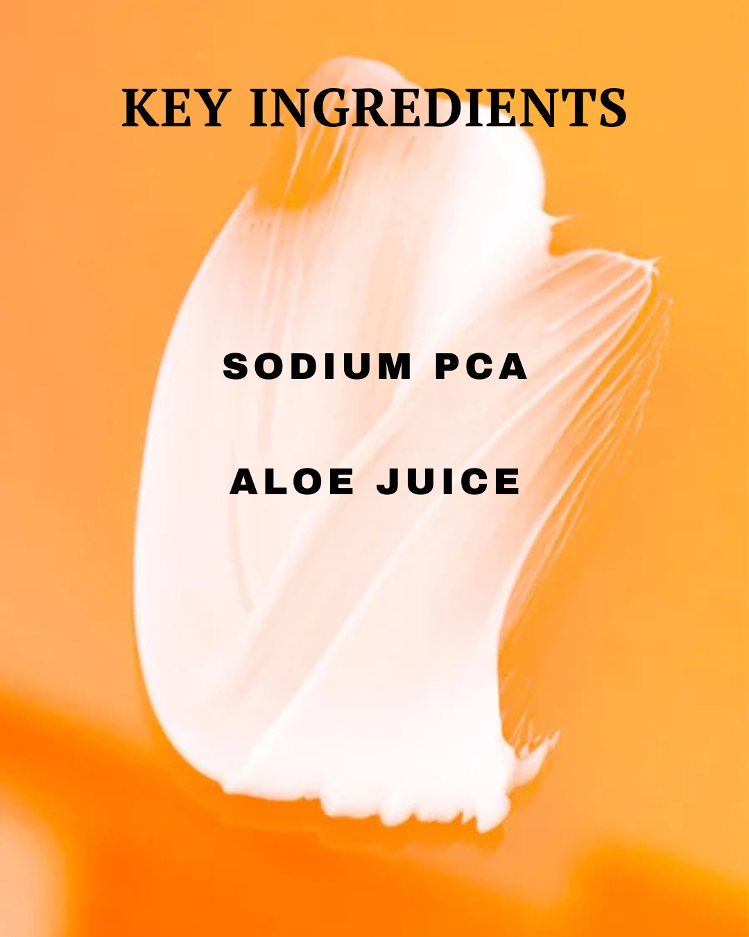 Key ingredients Sodium PCA and Aloe Juice on an orange background